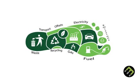 How to Reduce Carbon Footprint for Health and Sustainability