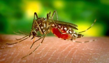 How to Recognize Early Signs of Malaria in Nigeria