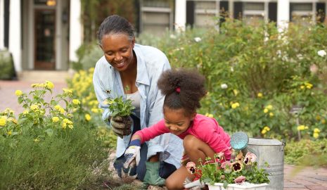 The Benefits of Horticultural Therapy for Mental Health