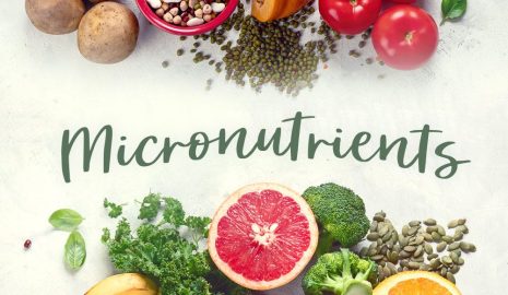 How the Body Processes Micronutrients