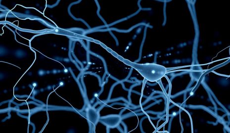 Understanding the Different Types of Neurons