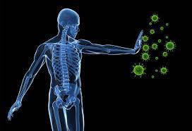 Four Budget-Friendly Strategies to Enhance Your Immune System