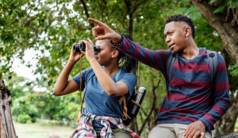 The Benefits of Birdwatching for Stress Relief