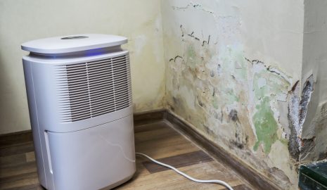 How to Choose the Right Dehumidifier for Mold Prevention