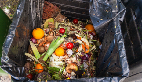 How to Reduce Food Waste for Health and Sustainability