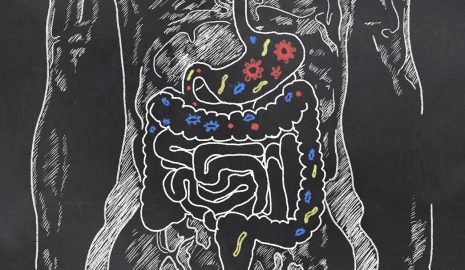 The Connection Between Gut Health and Overall Well-being