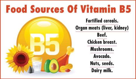 The Importance of Vitamin B5 for Hormone Production