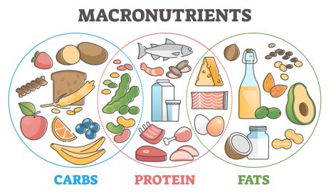 How to Understand the Macronutrient Ratio of Foods