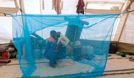 How to Use Mosquito Nets to Prevent Malaria