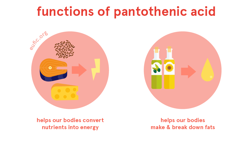 The Importance of Pantothenic Acid for Metabolism PharmaBay