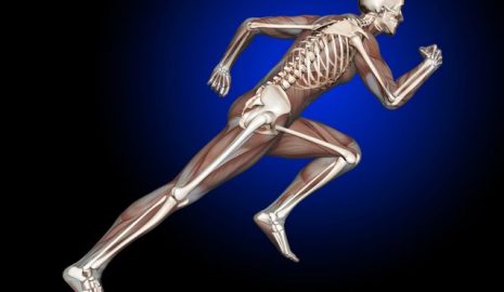 The Importance of Phosphorus for Bone Health