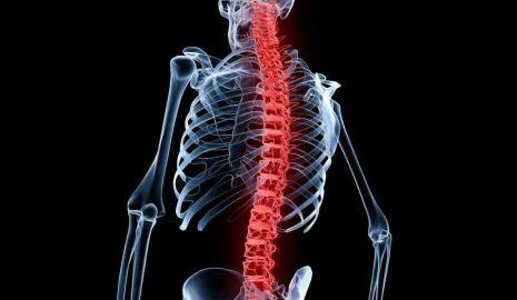 How to Protect Your Spine from Injury