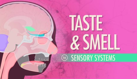 How to Maintain Healthy Smell and Taste Senses