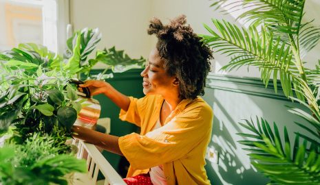 The Benefits of Indoor Plants for Mental Health