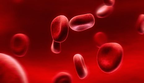 The Role of Platelets in Blood Clotting