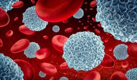 The Role of White Blood Cells in Immunity