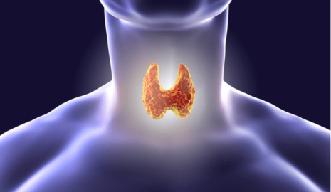 The Importance of Selenium for Thyroid Health