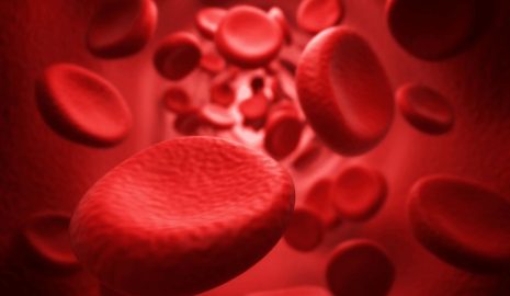 Understanding the Different Types of Blood Cells